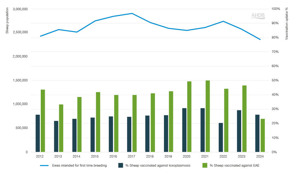 Bar graph with sheep abortion data from 2012-2024.